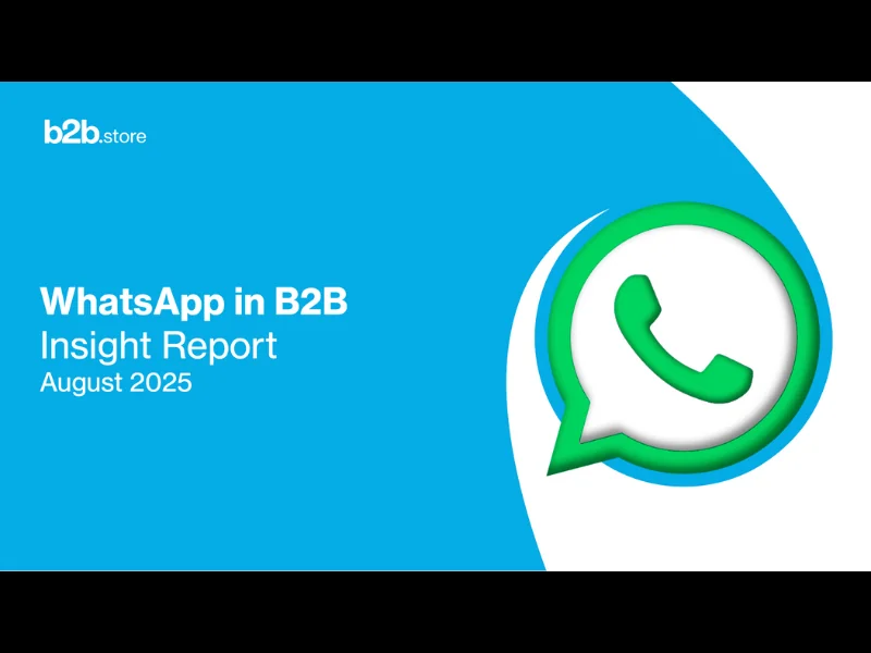 b2b.store WhatsApp Insight Report
